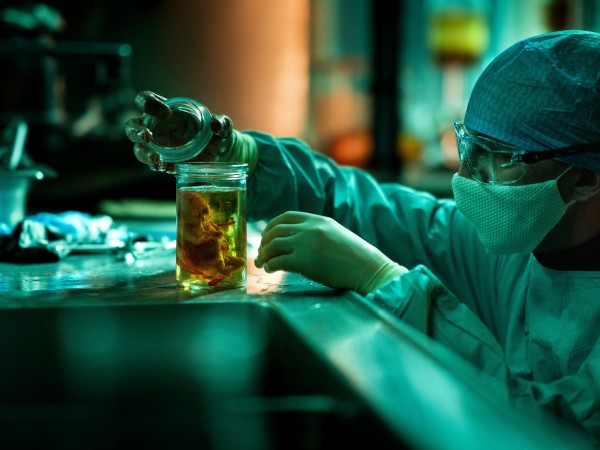 Последний клиент (2)