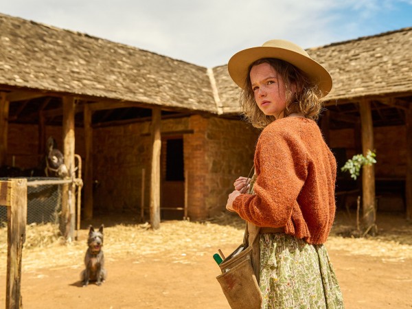 Мой любимый двортерьер (2)