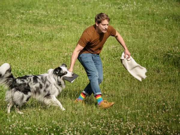 Знакомьтесь, пёс (2)