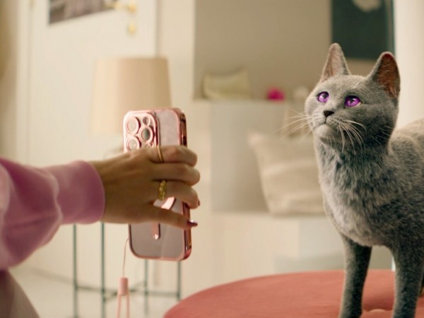 Школа магических зверей. Загадка волшебного леса (4)