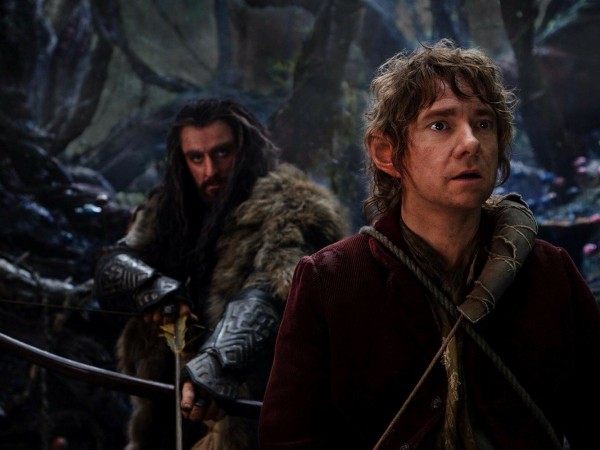 Хоббит: Пустошь Смауга (5)