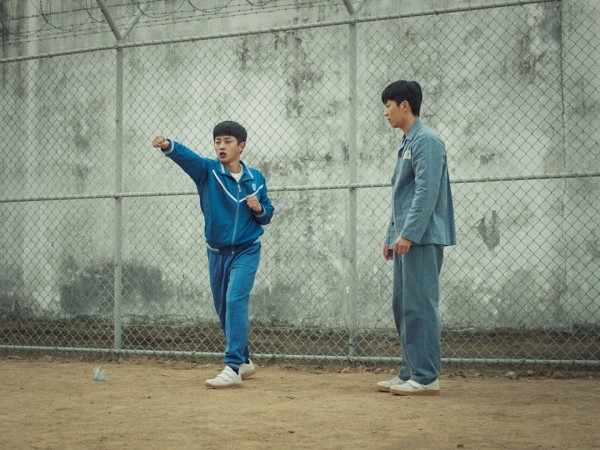 Акула: Начало (6)