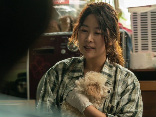 Мой пёс Руни (3)