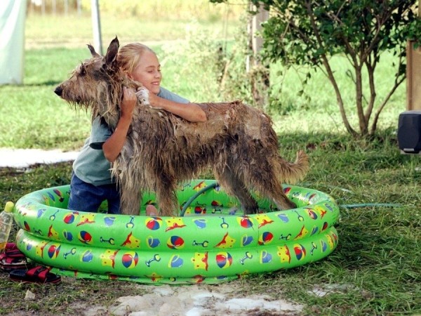 Благодаря Винн Дикси (4)