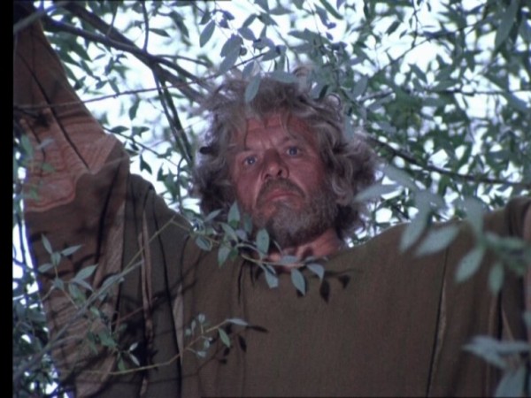 Юность Бемби (4)