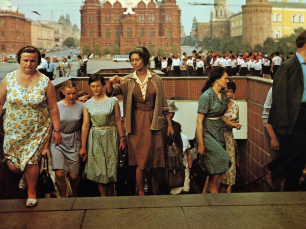 Подсолнухи (5)