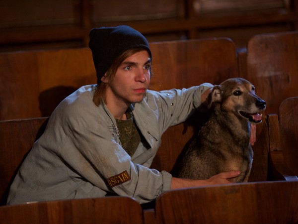 СуперБобровы (3)