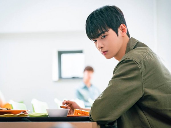 Каннамская красотка (6)