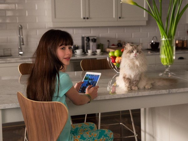 Девять жизней (3)