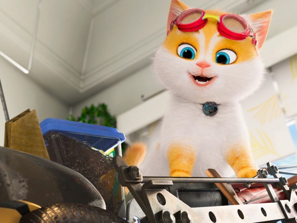 Большой кошачий побег (4)