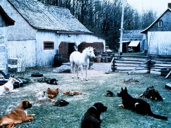 Нико-единорог (5)