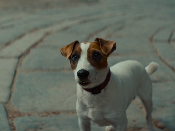 Волшебник Изумрудного города. Дорога из жёлтого кирпича (6)