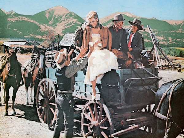 Кошка Балу (5)