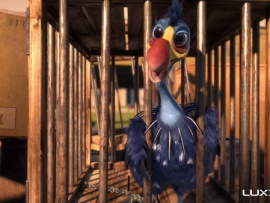 Птичий дозор (6)