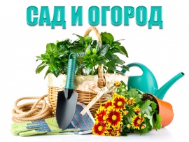 Сад и огород