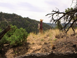 Неизведанная Америка