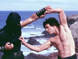 Кунг-По: Кулак внутри (4)