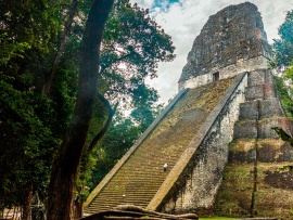 С чего все начиналось?