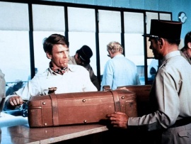 День шакала