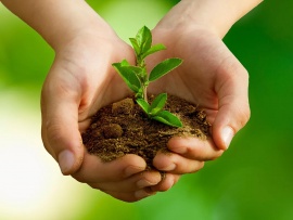 Природная помощь