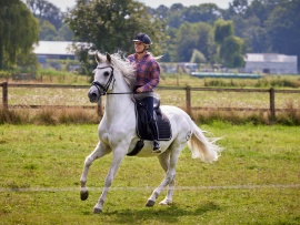 Спирит. Серебряная звезда