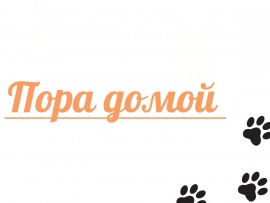 Пора домой