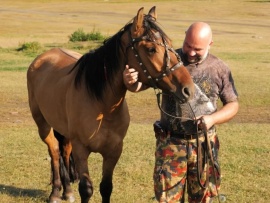 Атлас Баженова. Башкортостан