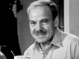 Птицы над городом