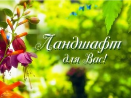 Ландшафт для вас