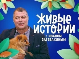 Живые истории