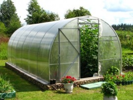 Теплица на радость